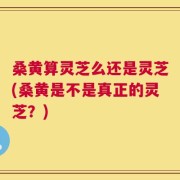 桑黄算灵芝么还是灵芝(桑黄是不是真正的灵芝？)