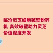 临沧灵芝细胞破壁粉碎机 高效破壁助力灵芝价值深度开发