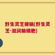 野生灵芝健脑(野生灵芝-滋润脑细胞)