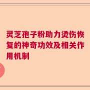 灵芝孢子粉助力烫伤恢复的神奇功效及相关作用机制
