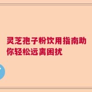 灵芝孢子粉饮用指南助你轻松远离困扰
