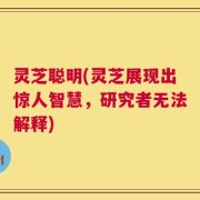 灵芝聪明(灵芝展现出惊人智慧，研究者无法解释)