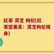 红茶 灵芝 枸杞(红茶坚果系：灵芝枸杞现身)