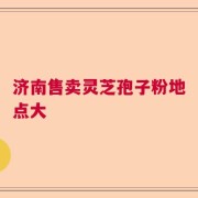 济南售卖灵芝孢子粉地点大