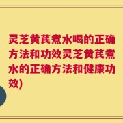 灵芝黄芪煮水喝的正确方法和功效灵芝黄芪煮水的正确方法和健康功效)