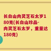 长白山肉灵芝石太岁180克(长白山珍品-肉灵芝石太岁，重量达180克)