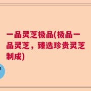 一品灵芝极品(极品一品灵芝，臻选珍贵灵芝制成)