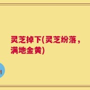 灵芝掉下(灵芝纷落，满地金黄)