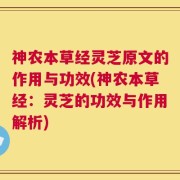 神农本草经灵芝原文的作用与功效(神农本草经：灵芝的功效与作用解析)