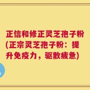 正信和修正灵芝孢子粉(正宗灵芝孢子粉：提升免疫力，驱散疲惫)