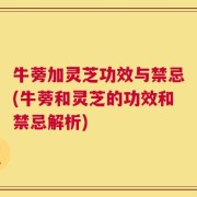 牛蒡加灵芝功效与禁忌(牛蒡和灵芝的功效和禁忌解析)