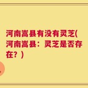 河南嵩县有没有灵芝(河南嵩县：灵芝是否存在？)