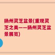扬州灵芝盆景(重现灵芝之美——扬州灵芝盆景展览)
