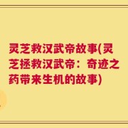 灵芝救汉武帝故事(灵芝拯救汉武帝：奇迹之药带来生机的故事)