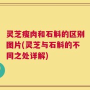 灵芝瘦肉和石斛的区别图片(灵芝与石斛的不同之处详解)
