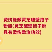 烫伤能敷灵芝破壁孢子粉能(灵芝破壁孢子粉具有烫伤敷治功效)