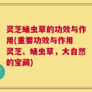 灵芝蛹虫草的功效与作用(重要功效与作用 灵芝、蛹虫草，大自然的宝藏)