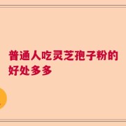 普通人吃灵芝孢子粉的好处多多