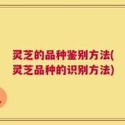 灵芝的品种鉴别方法(灵芝品种的识别方法)