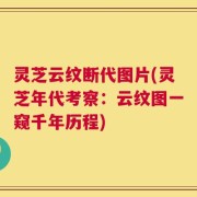 灵芝云纹断代图片(灵芝年代考察：云纹图一窥千年历程)