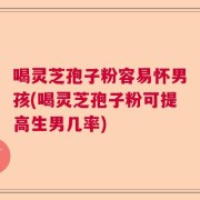 喝灵芝孢子粉容易怀男孩(喝灵芝孢子粉可提高生男几率)