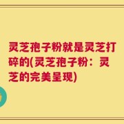 灵芝孢子粉就是灵芝打碎的(灵芝孢子粉：灵芝的完美呈现)