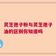灵芝孢子粉与灵芝孢子油的区别你知道吗