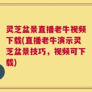 灵芝盆景直播老牛视频下载(直播老牛演示灵芝盆景技巧，视频可下载)