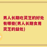 男人长期吃灵芝的好处有哪些(男人长期食用灵芝的益处)