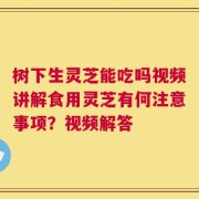 树下生灵芝能吃吗视频讲解食用灵芝有何注意事项？视频解答