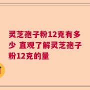 灵芝孢子粉12克有多少 直观了解灵芝孢子粉12克的量