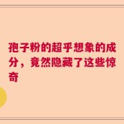 孢子粉的超乎想象的成分，竟然隐藏了这些惊奇