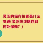 灵芝的保存位置是什么味道(灵芝应该储存到何处保鲜？)