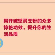 揭开破壁灵芝粉的众多惊艳功效，提升你的生活品质