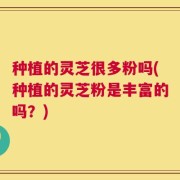 种植的灵芝很多粉吗(种植的灵芝粉是丰富的吗？)