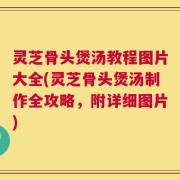 灵芝骨头煲汤教程图片大全(灵芝骨头煲汤制作全攻略，附详细图片)
