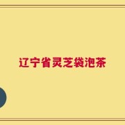 辽宁省灵芝袋泡茶