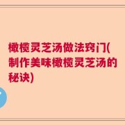 橄榄灵芝汤做法窍门(制作美味橄榄灵芝汤的秘诀)