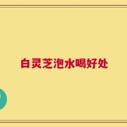 白灵芝泡水喝好处