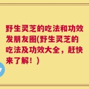 野生灵芝的吃法和功效发朋友圈(野生灵芝的吃法及功效大全，赶快来了解！)