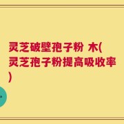 灵芝破壁孢子粉 木(灵芝孢子粉提高吸收率)