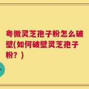 粤微灵芝孢子粉怎么破壁(如何破壁灵芝孢子粉？)