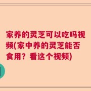家养的灵芝可以吃吗视频(家中养的灵芝能否食用？看这个视频)