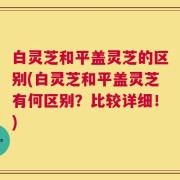 白灵芝和平盖灵芝的区别(白灵芝和平盖灵芝有何区别？比较详细！)