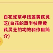 白花蛇草半枝莲黄芪灵芝(白花蛇草半枝莲黄芪灵芝的功效和作用简介)