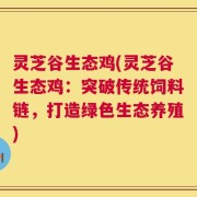 灵芝谷生态鸡(灵芝谷生态鸡：突破传统饲料链，打造绿色生态养殖)