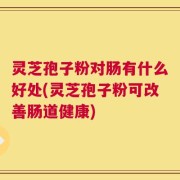 灵芝孢子粉对肠有什么好处(灵芝孢子粉可改善肠道健康)