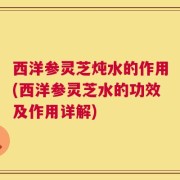 西洋参灵芝炖水的作用(西洋参灵芝水的功效及作用详解)