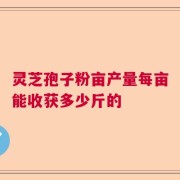 灵芝孢子粉亩产量每亩能收获多少斤的