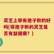 灵芝上带有孢子粉的好吗(带孢子粉的灵芝是否有益健康？)